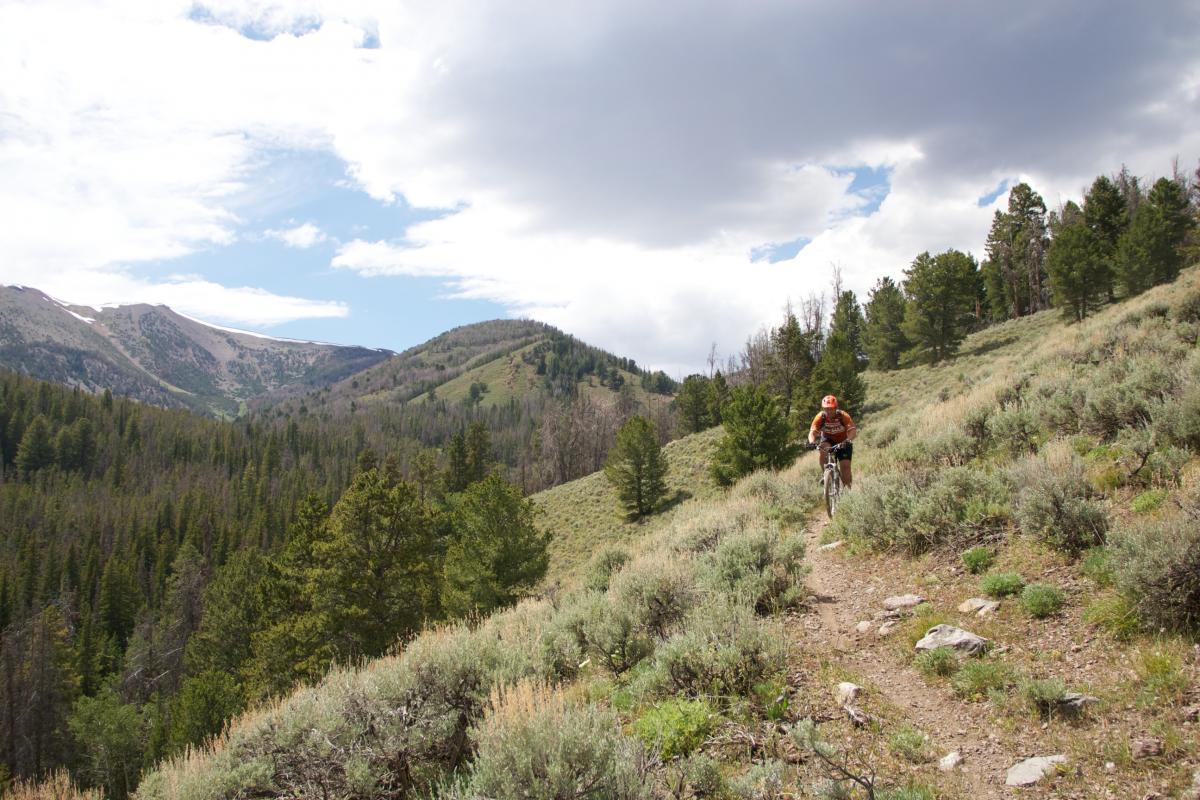 Mountain biker riding along a narrow trail bordered by shrubs and trees, set against a backdrop of mountains and a partly cloudy sky. Rocky Creek Loop mountain bike trail.