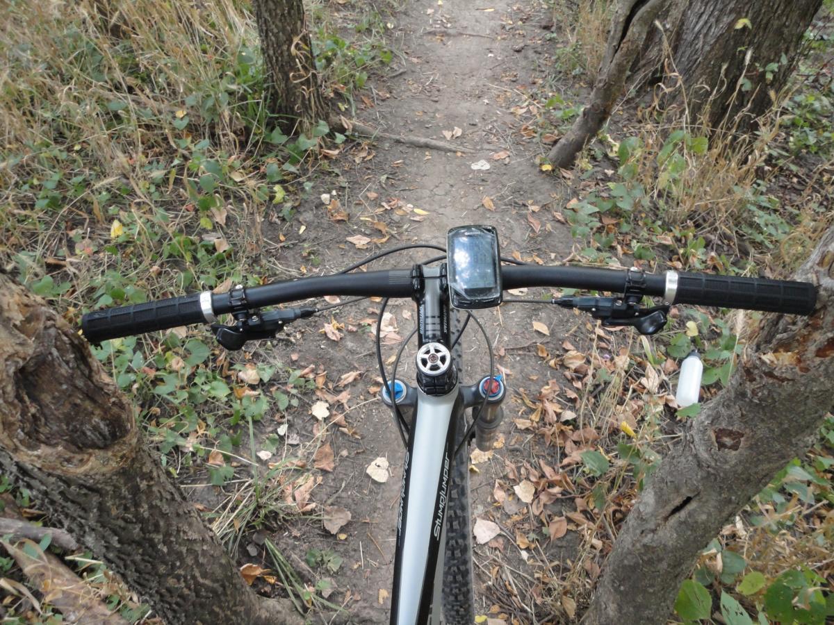 A top-down view of a mountain bike's handlebars and control panel, positioned on a dirt trail surrounded by grass and trees. The bike's display shows the speed and distance, while the path ahead is slightly winding and covered with fallen leaves. The Center Trails mountain bike trail.