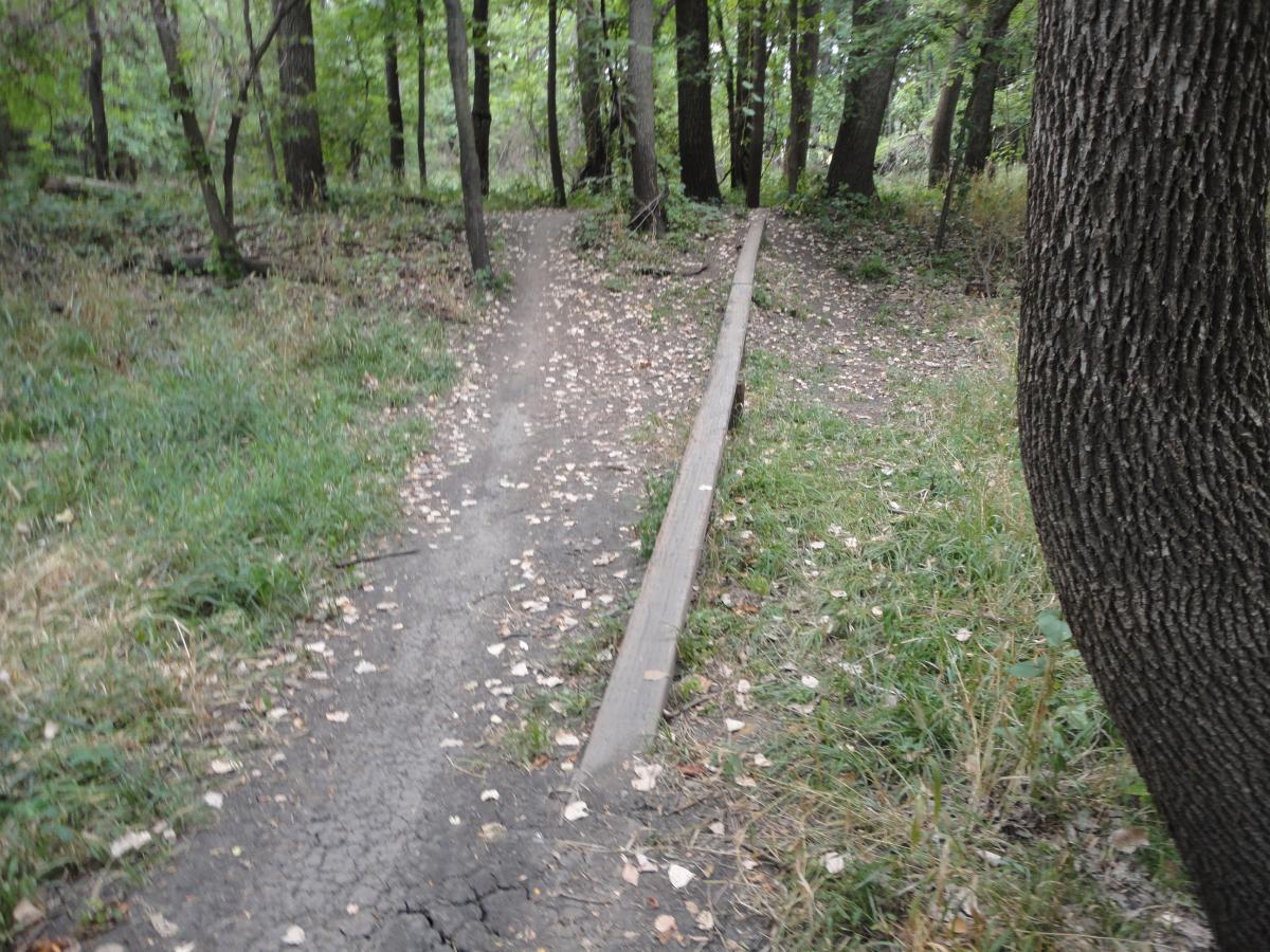 A narrow dirt path meanders through a wooded area, bordered by tall trees and patches of green grass. Wooden planks line part of the path, and scattered leaves cover the ground. The scene reflects a tranquil, natural setting. The Center Trails mountain bike trail.