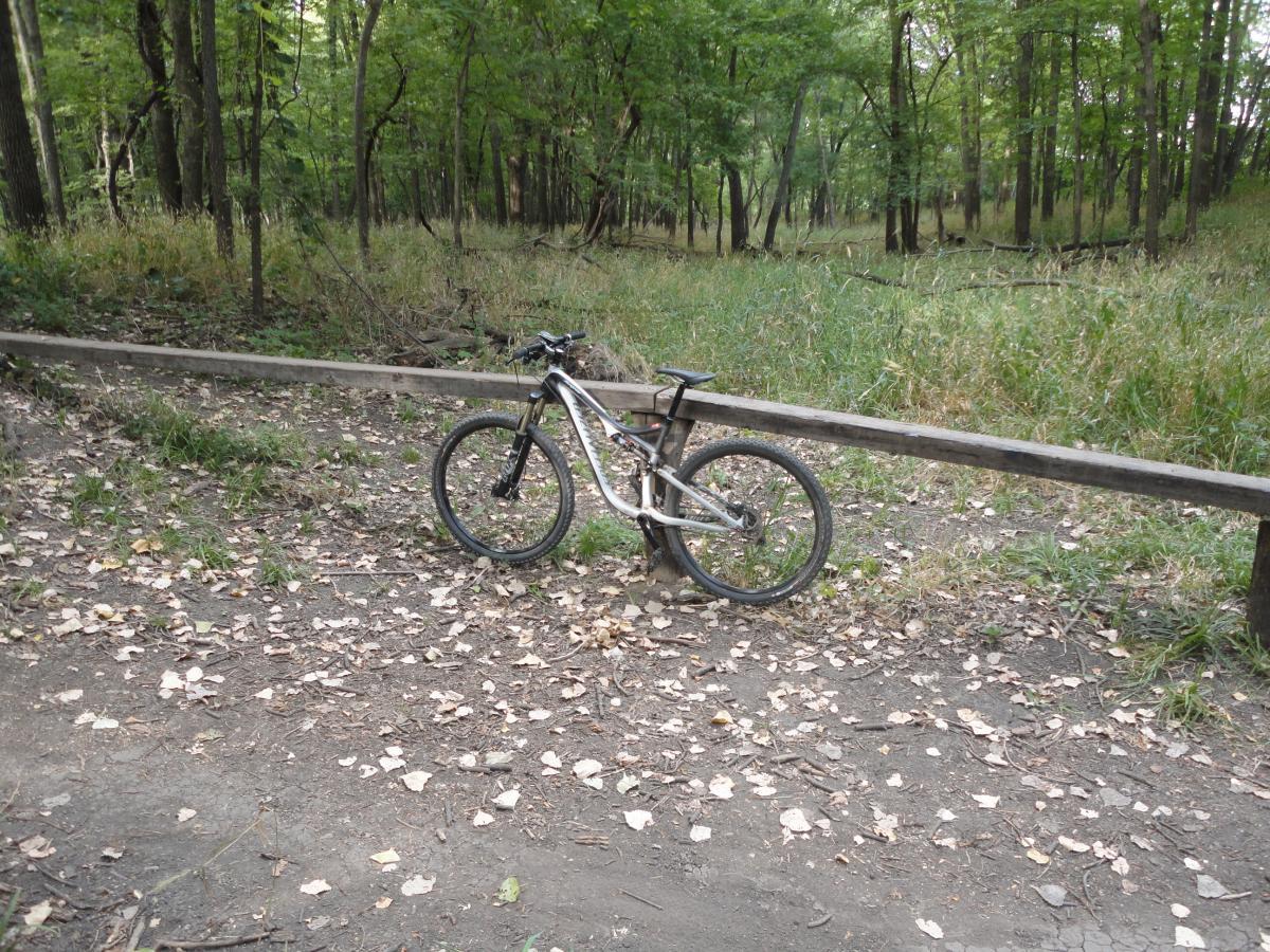 A mountain bike resting against a wooden railing in a forested area, surrounded by fallen leaves and greenery. The ground is a mix of dirt and grass, indicating a natural trail setting. The Center Trails mountain bike trail.