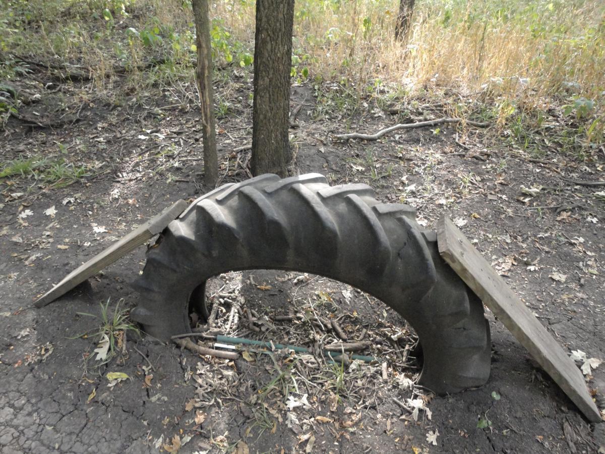 A large, worn tire partially buried in the ground, with two wooden planks resting on top, set in a natural area with sparse grass and scattered fallen leaves. Trees surround the tire, suggesting an outdoor recreational space. The Center Trails mountain bike trail.