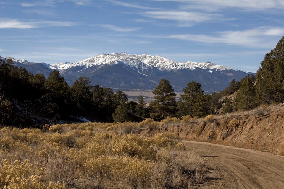 A dirt road winds through a landscape of low shrubs and grass, leading towards a mountain range in the background that is capped with snow. Pine trees flank the road, adding greenery to the scene under a clear blue sky with wispy clouds. Chinaman Gulch mountain bike trail.