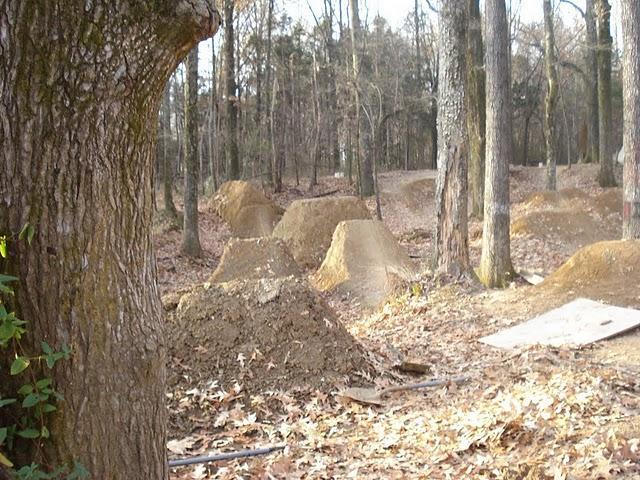 Dirt jumps and ramps located in a wooded area, surrounded by trees and scattered fallen leaves. The scene captures a bike park or BMX track with several mounds of dirt, indicating areas for jumping or stunts. Stanky Creek mountain bike trail.