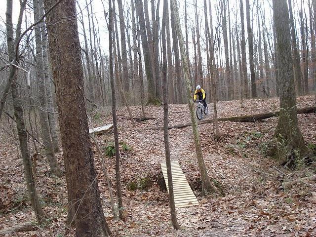 A cyclist riding on a narrow wooden bridge through a forested area with tall trees and fallen leaves on the ground. The scene captures the essence of outdoor biking in nature. Stanky Creek mountain bike trail.