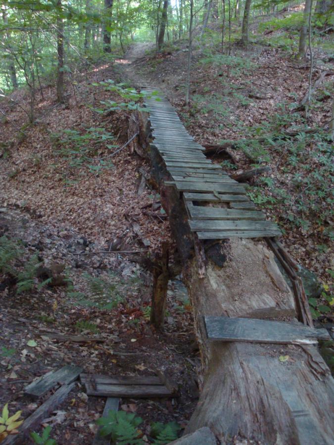 A wooden footbridge made from planks spans a small ravine in a wooded area, surrounded by green foliage and fallen leaves. A dirt path is visible in the background, leading further into the forest. Brady's Run County Park mountain bike trail.