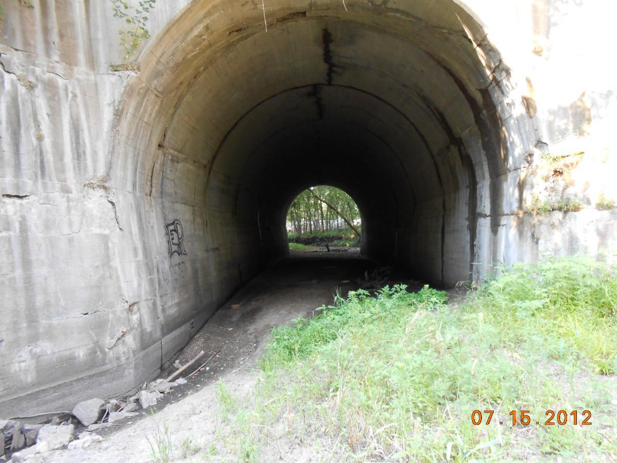 An empty concrete tunnel with a curved ceiling, partially covered in graffiti, leading into a dark passage surrounded by overgrown vegetation and dirt. The light illuminates the entrance, revealing a path that extends further into the tunnel. Ulrich Park mountain bike trail.