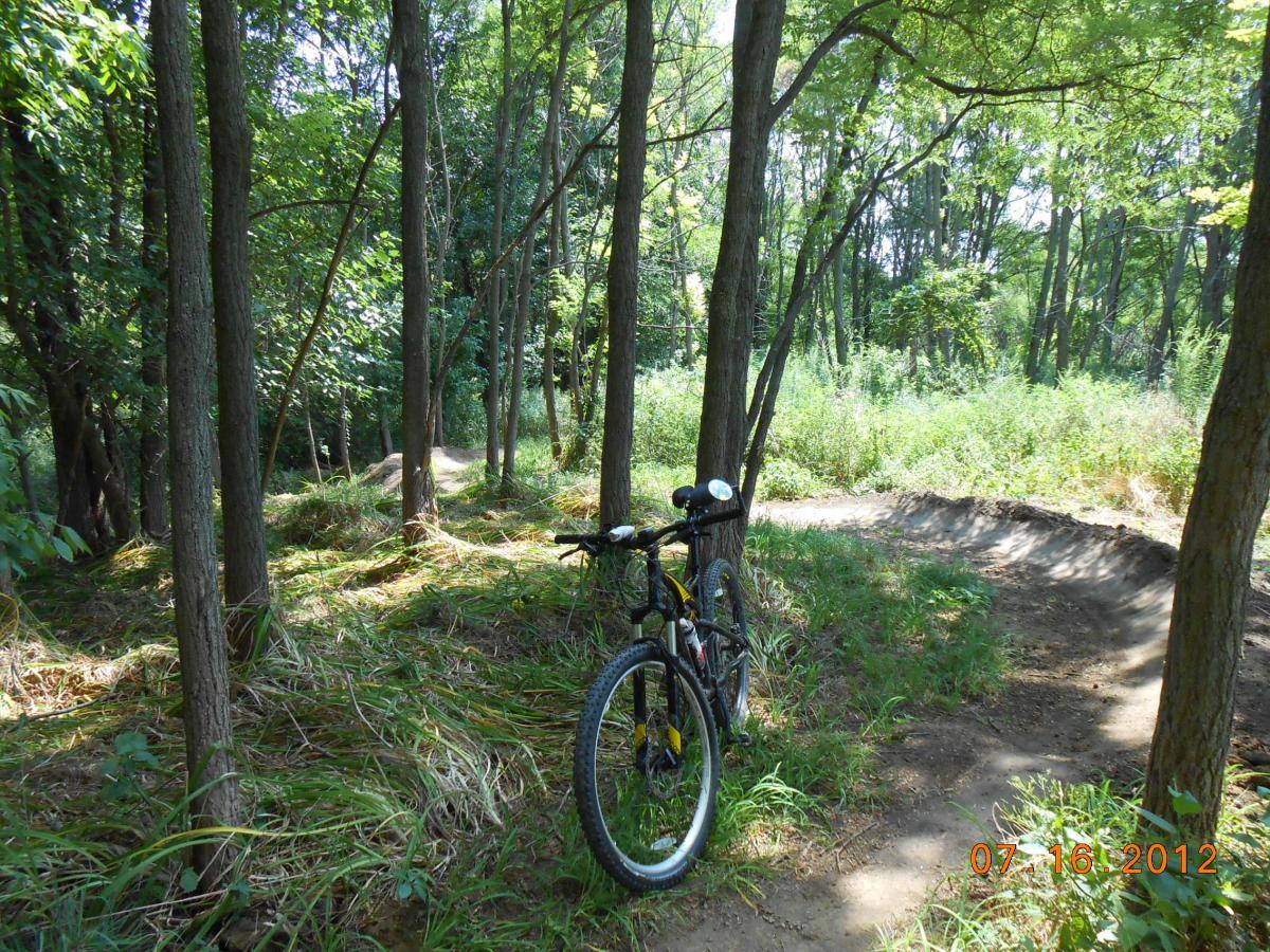 A mountain bike leaned against a tree in a wooded area, with lush greenery and dirt paths visible in the background. The sunlight filters through the leaves, creating a serene atmosphere. The image suggests a peaceful setting for outdoor biking and exploration. Beverly Park mountain bike trail.