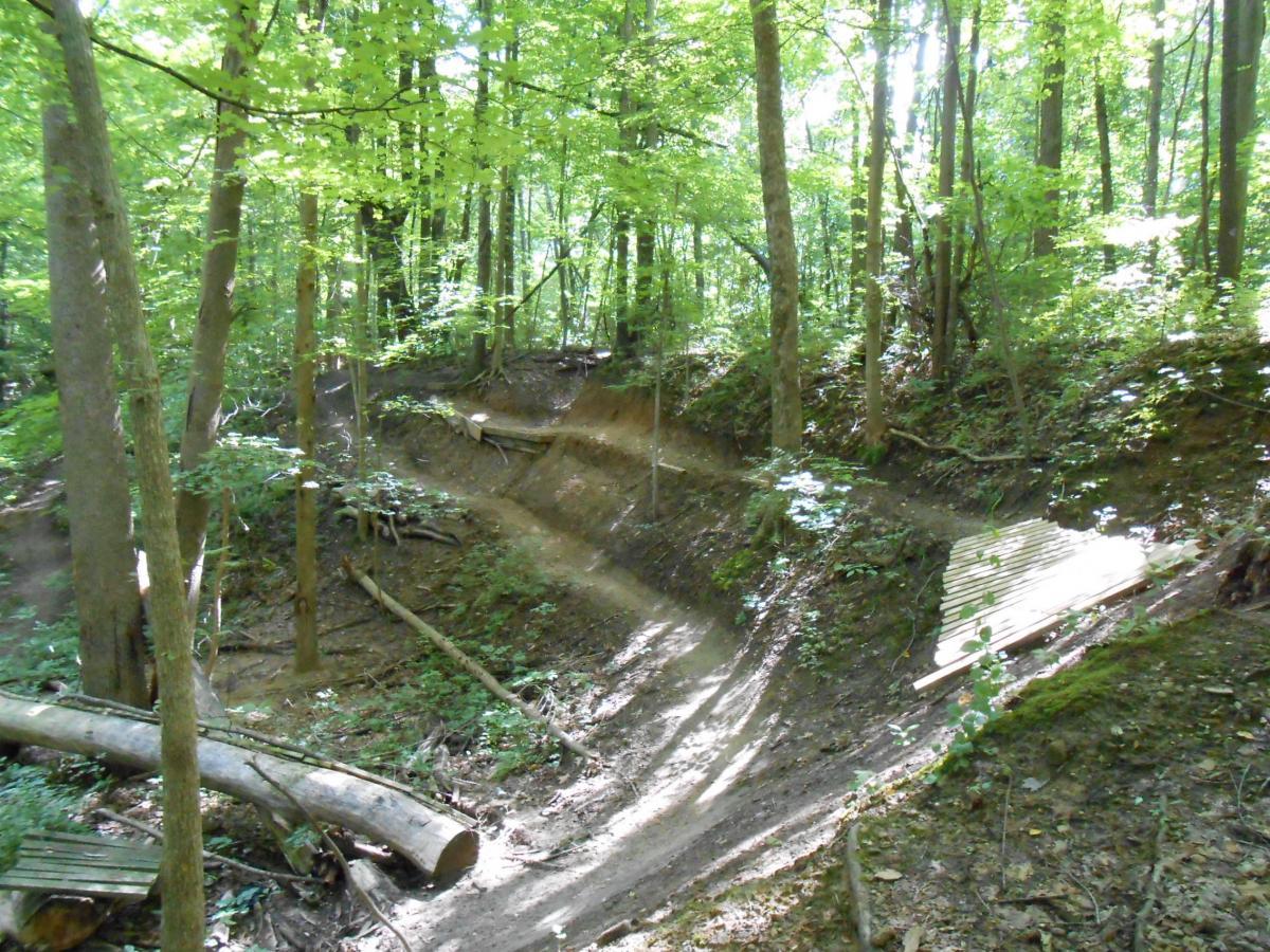 A sunlit forest path in a wooded area, featuring a dirt trail with a slight incline, surrounded by trees and lush greenery. There are logs and a wooden ramp visible along the path, indicating possible use for biking or hiking. Rum Village Pathway Mountain Biking Trail mountain bike trail.