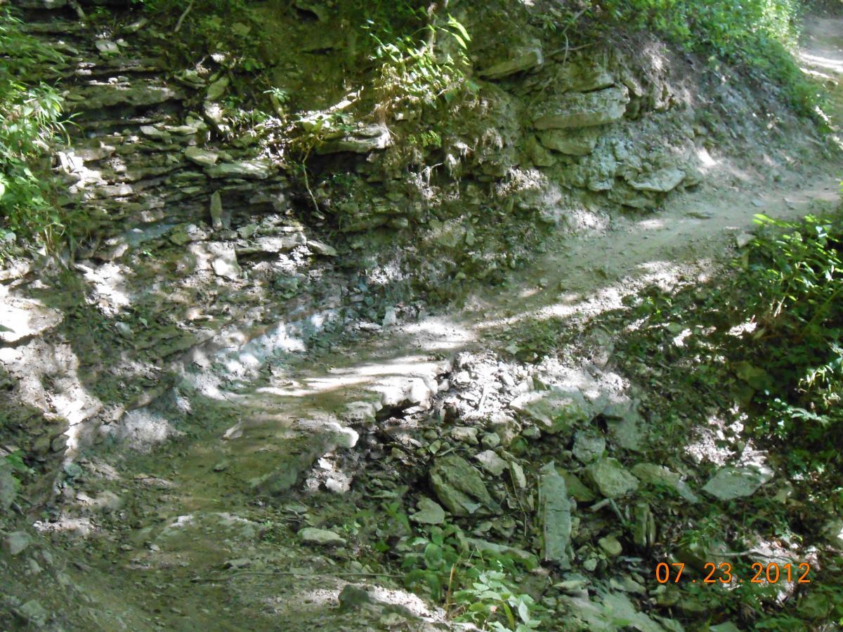 A rocky trail winding through a green, wooded area, with sunlight casting shadows on the uneven ground. The path is lined with exposed rocks and gravel, indicating a natural outdoor setting. Versailles State Park mountain bike trail.