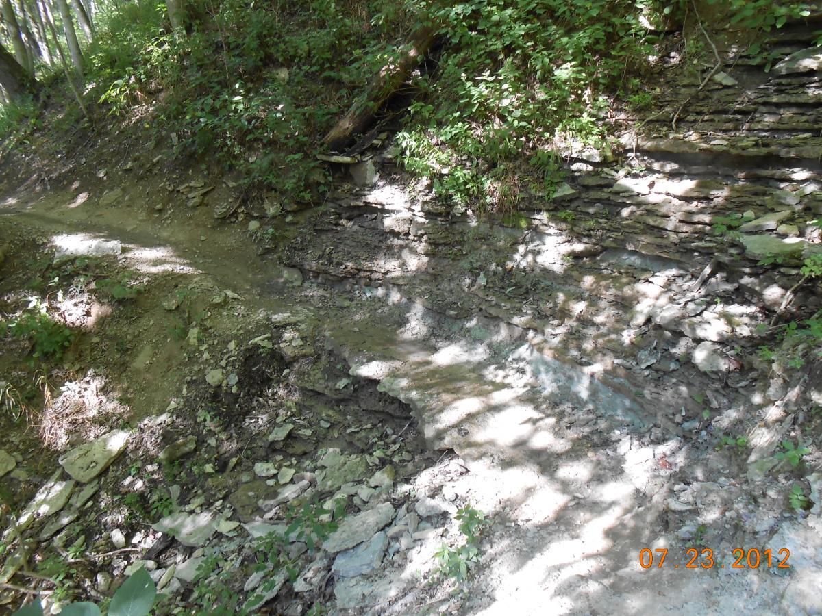 A narrow dirt path leads through a wooded area, with rocky soil and patches of greenery along the sides. The path appears to slope down, and there are exposed layers of stone visible on the ground. Sunlight filters through the trees, casting dappled shadows on the trail. The date in the corner of the image reads July 23, 2012. Versailles State Park mountain bike trail.