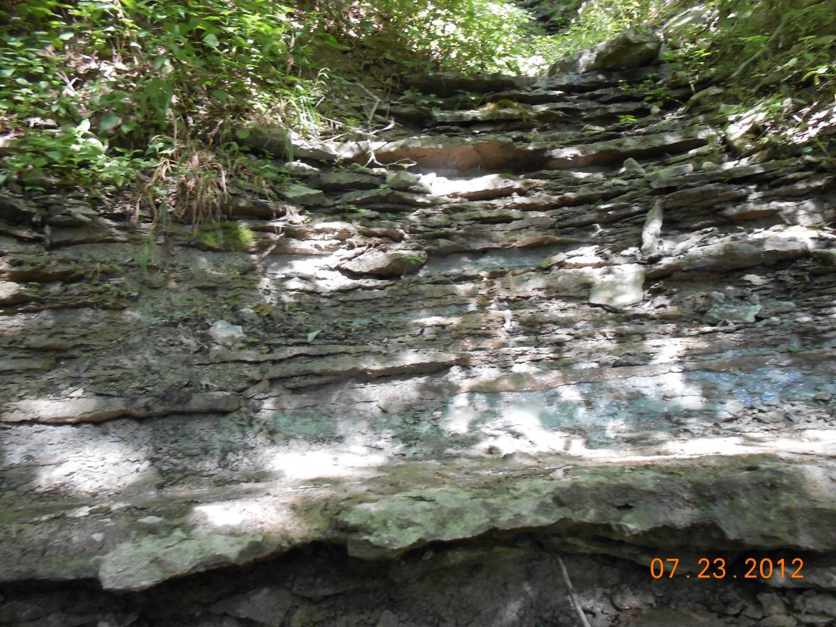 A rocky, uneven hillside covered with patches of greenery, showcasing layered stone formations and scattered foliage under dappled sunlight. Versailles State Park mountain bike trail.
