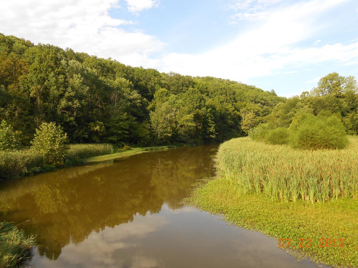 Serene landscape featuring a tranquil river surrounded by lush green trees and tall grasses. The water reflects the trees and clouds above, creating a peaceful natural scene. Versailles State Park mountain bike trail.
