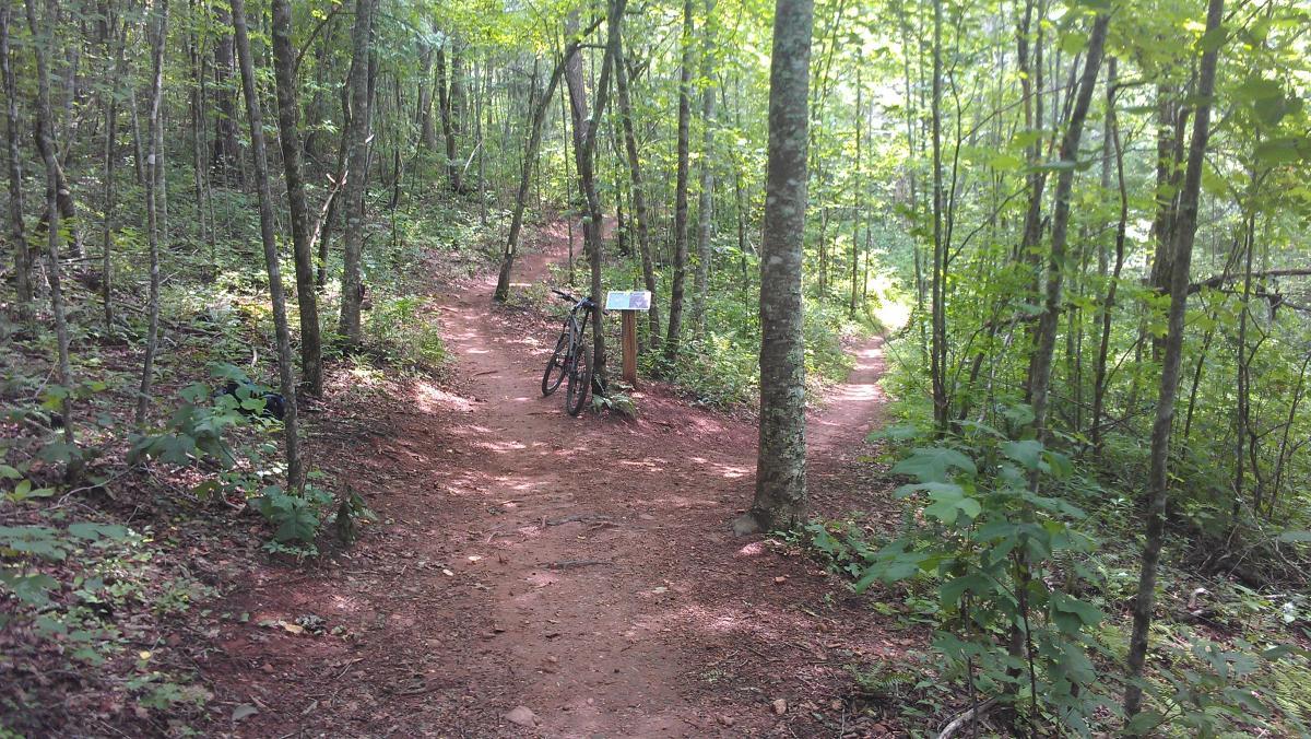 A dirt bike trail splits into two paths surrounded by dense greenery and trees. A bicycle is leaning against a wooden sign, which may provide information about the trails. Sunlight filters through the leaves, creating a tranquil outdoor atmosphere. Jack Rabbit Trails mountain bike trail.