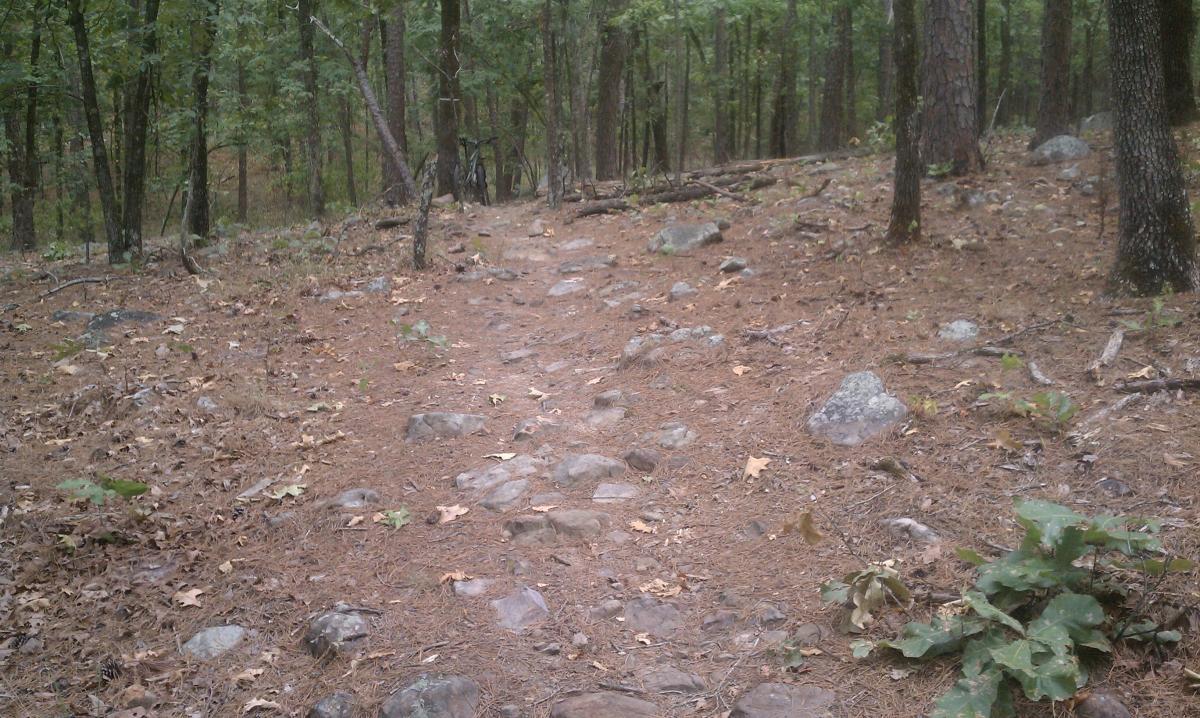 A forested trail with scattered rocks and dried leaves, surrounded by tall trees. The path is partly visible, indicating a natural hiking route through the woods. Jackfork Trail mountain bike trail.