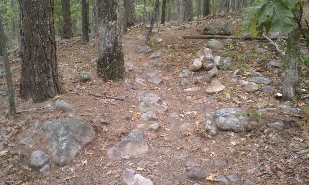 A narrow dirt trail winding through a forest, surrounded by tall trees and scattered rocks. The ground is covered in leaves and pine needles, creating a natural and rustic atmosphere. Jackfork Trail mountain bike trail.