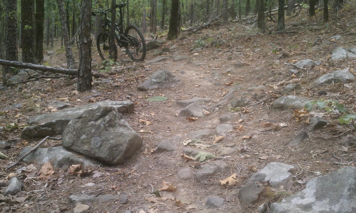 A rocky dirt trail winding through a forest, with fallen leaves scattered on the ground. A mountain bike is parked nearby among the trees. Jackfork Trail mountain bike trail.