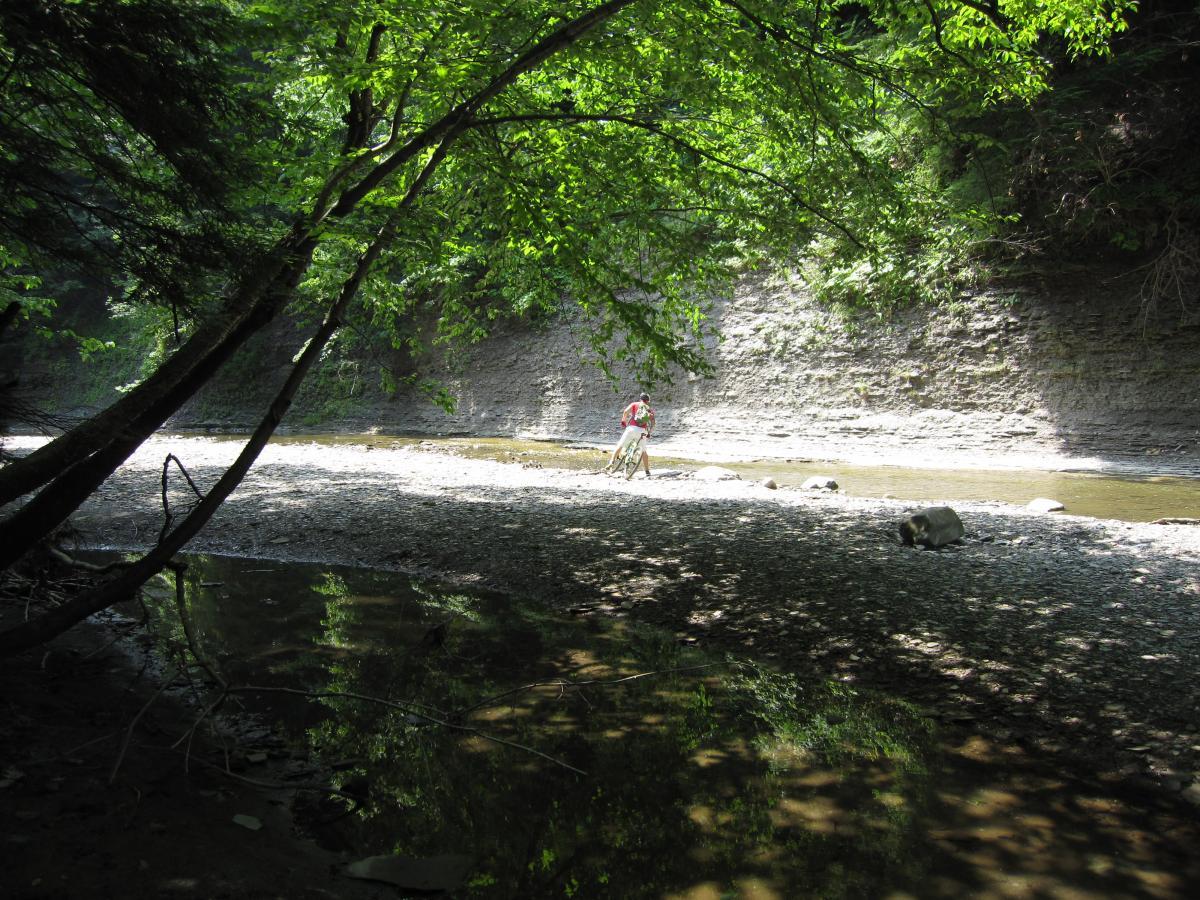 A person wading through a shallow river surrounded by lush green trees and rocky banks. The water reflects the greenery, creating a serene natural landscape. Asbury Woods/ Brown