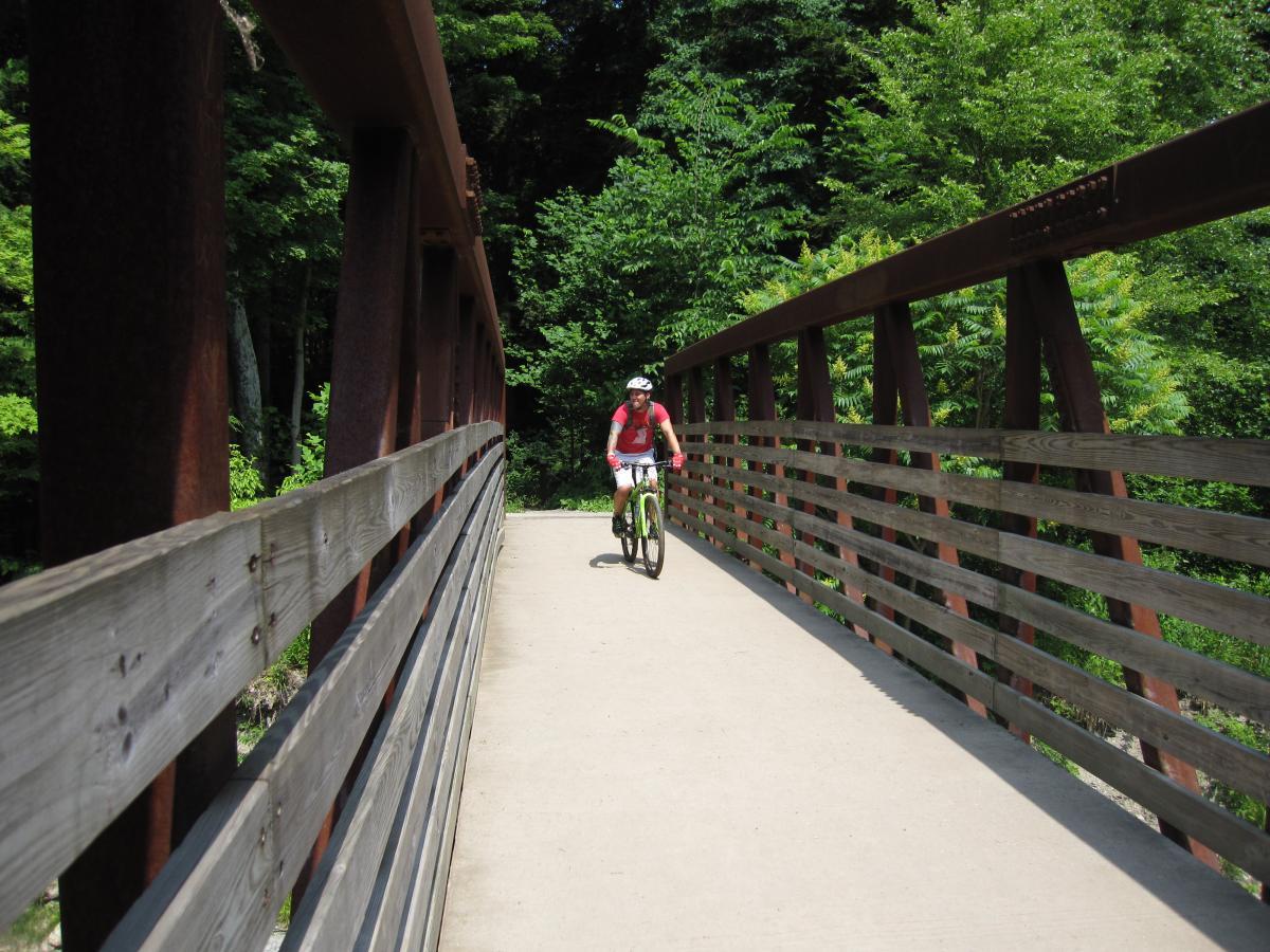 A cyclist wearing a red shirt and a helmet rides across a wooden bridge surrounded by lush green trees on a sunny day. Asbury Woods/ Brown's Farm mountain bike trail.