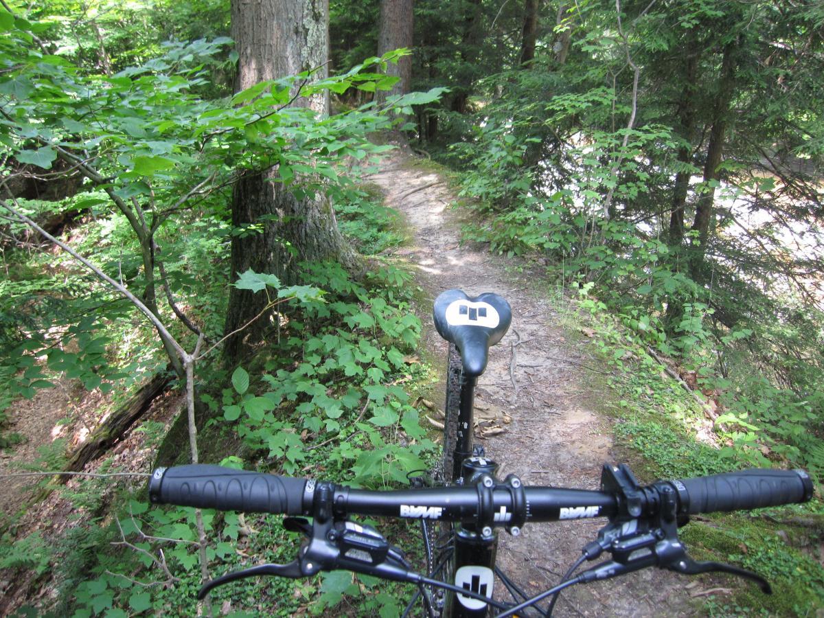 Alt text: View from the handlebars of a mountain bike on a narrow forest trail, surrounded by lush greenery and trees. Asbury Woods/ Brown's Farm mountain bike trail.
