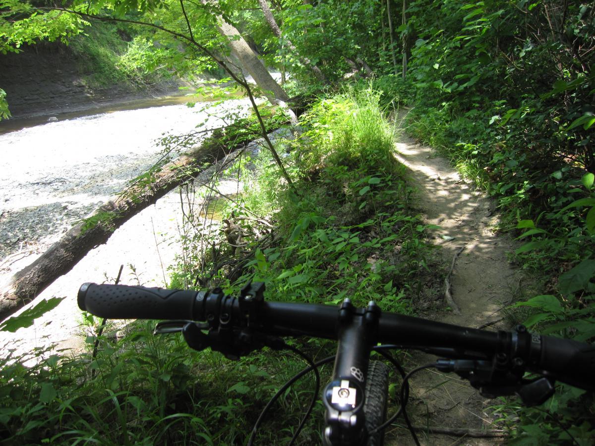A view of a mountain bike handlebar positioned in front of a narrow dirt trail alongside a flowing river, surrounded by lush greenery and sunlight filtering through the leaves. Asbury Woods/ Brown's Farm mountain bike trail.