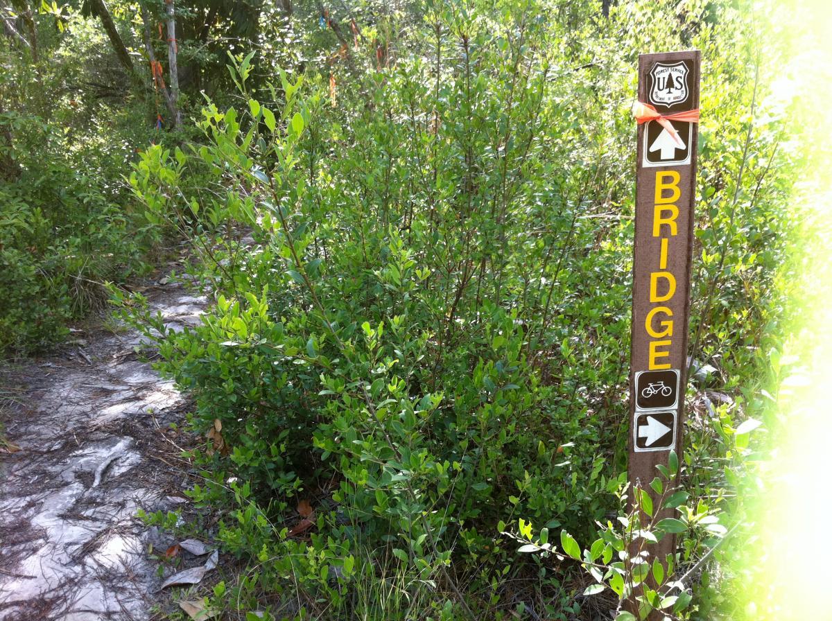 A wooden trail sign marked "BRIDGE" with directional arrows, surrounded by lush green foliage and a narrow, partially visible path. The sign features symbols indicating directions for hiking and biking within a natural setting. Bethel Bike Trails mountain bike trail.
