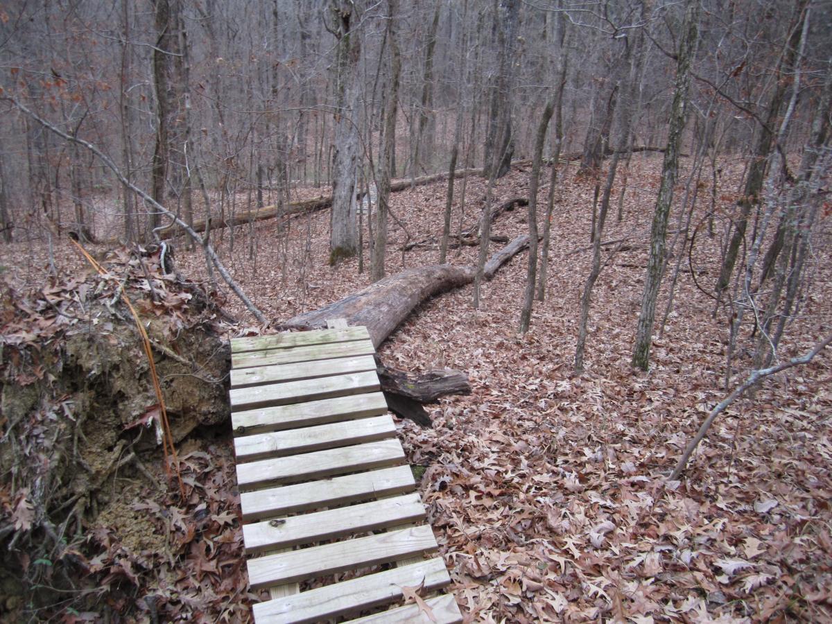 A wooden plank bridge spans an area of disturbed earth in a wooded forest setting, surrounded by autumn leaves and bare trees. The ground is uneven, with fallen logs visible in the background. The scene conveys a rugged, natural environment. Stanky Creek mountain bike trail.