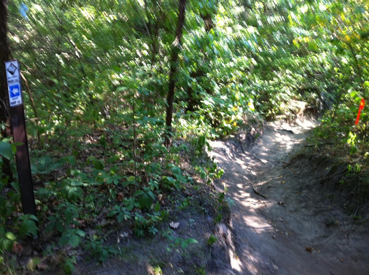 A narrow dirt trail winding through a lush green forest, bordered by dense foliage and trees. A trail marker is visible on the left side, indicating the direction of the path. Sunlight filters through the leaves, creating a dappled effect on the ground. Platte River mountain bike trail.
