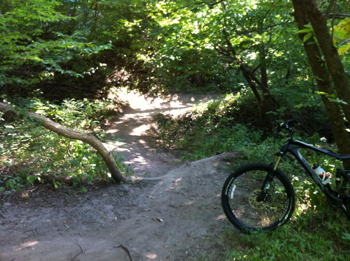 A mountain bike parked near a dirt trail winding through a lush green forest, with sunlight filtering through the leaves of the trees. The path is sandy and surrounded by foliage, indicating a serene outdoor setting ideal for biking or hiking. Platte River mountain bike trail.