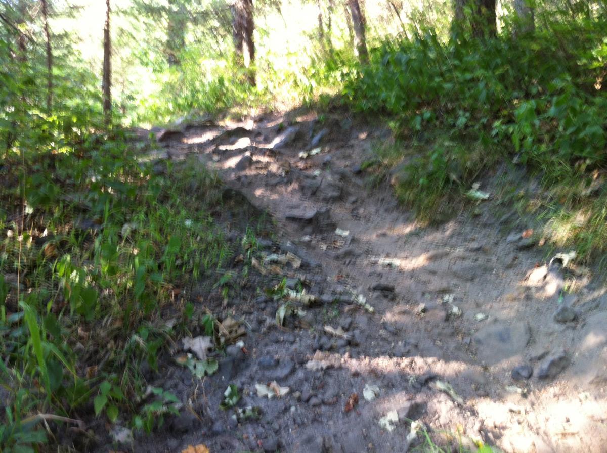 A blurred view of a muddy hiking trail surrounded by greenery, featuring uneven and rocky terrain with patches of grass and fallen leaves. The sunlight filters through the trees, creating a natural outdoor setting. Platte River mountain bike trail.