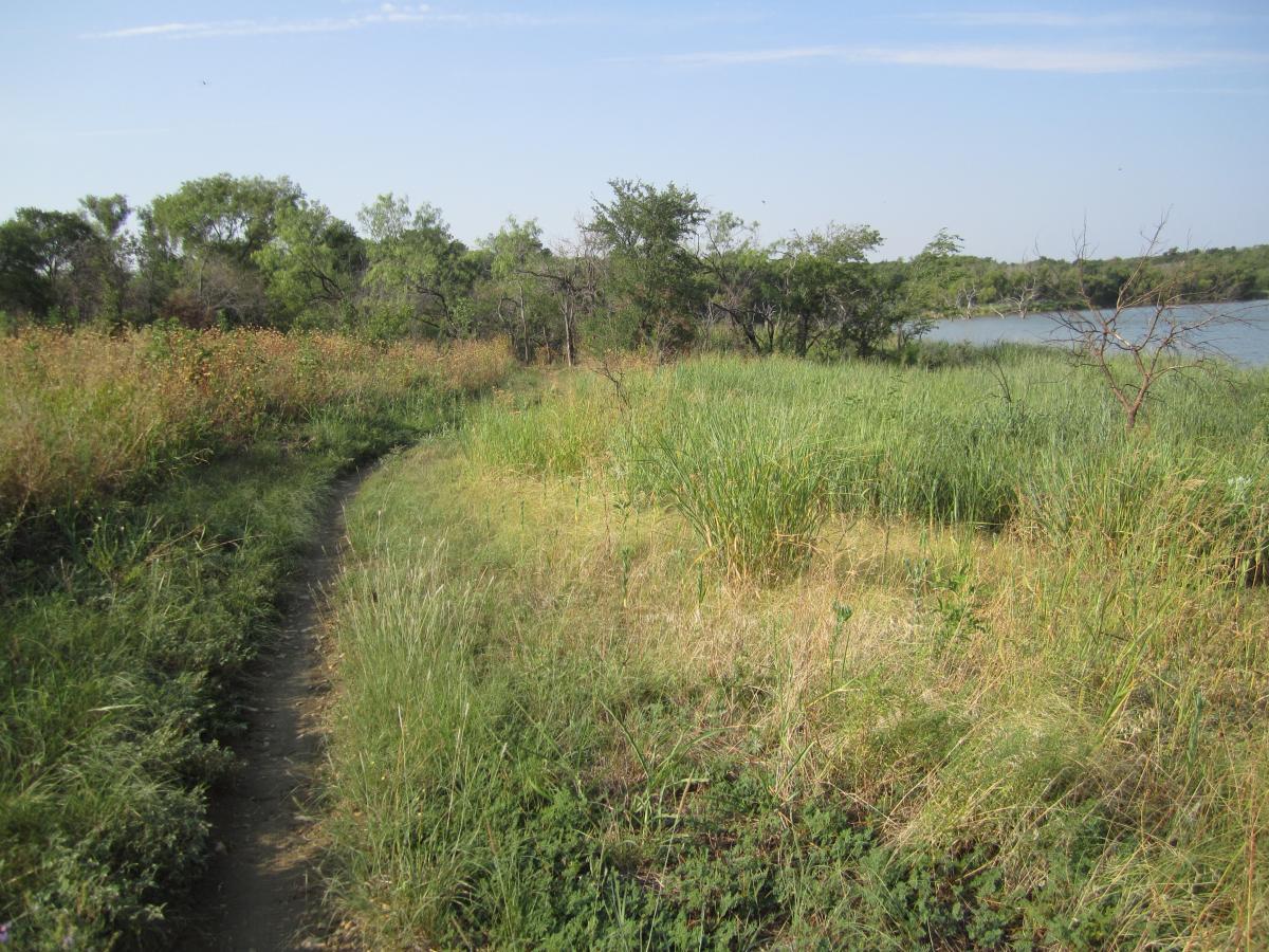 A narrow dirt path winding through tall green grass and shrubs, leading toward a body of water on the right. The scene is set against a clear blue sky with a few clouds, showcasing a tranquil natural landscape. Cedar Hill State Park At Joe Pool Lake mountain bike trail.