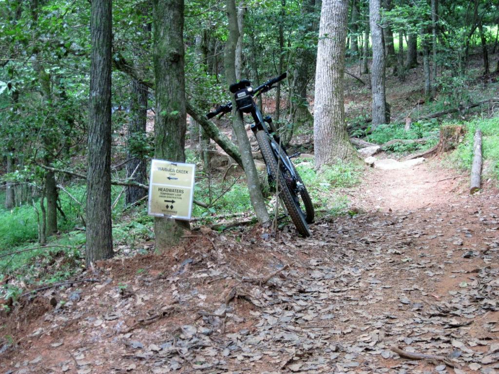 A mountain bike leaning against a tree near a trail in a wooded area, with a sign indicating "Warning: Creek Headwaters" visible nearby. The ground is covered with fallen leaves and the path is surrounded by trees and lush greenery. Warrior Creek mountain bike trail.