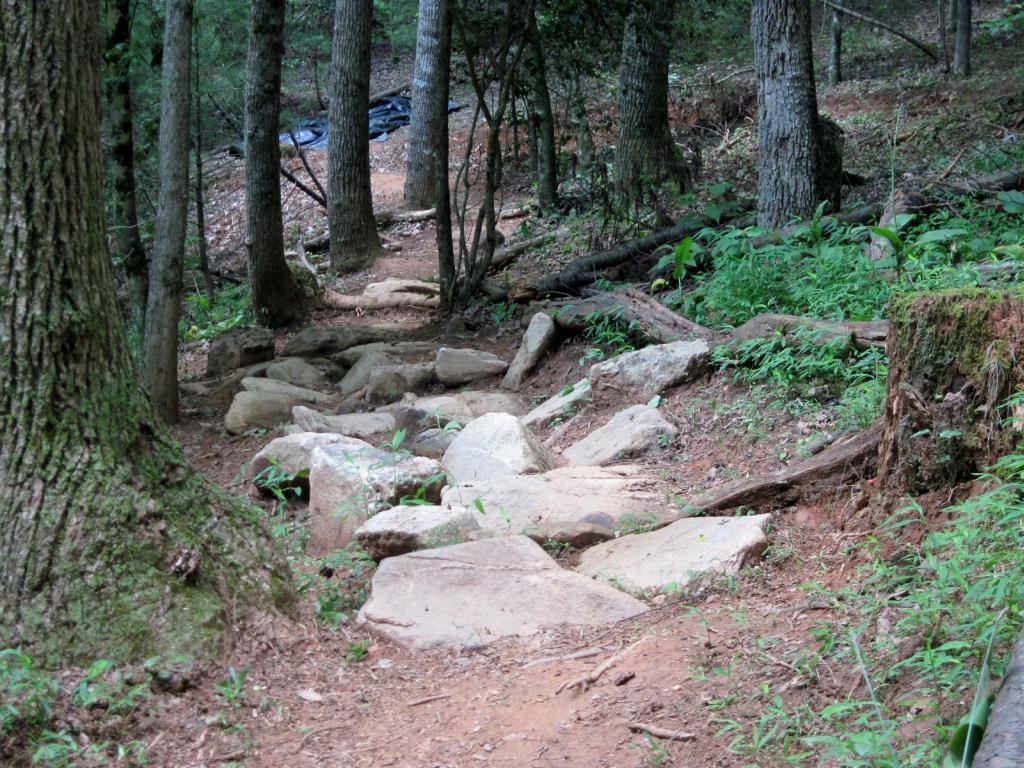 A natural forest trail lined with large rocks and surrounded by trees and green vegetation. The path is made of dirt and stones, leading through a peaceful wooded area. Warrior Creek mountain bike trail.