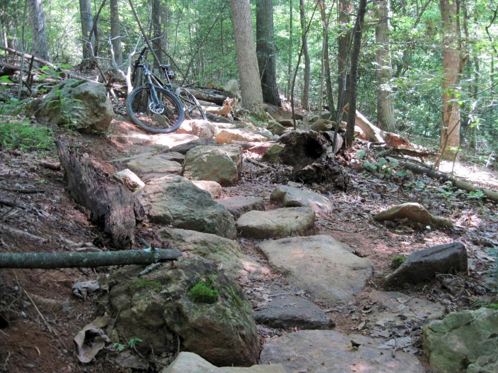 A rocky path with scattered boulders and tree roots, surrounded by dense greenery, featuring a mountain bike leaning against a tree. Warrior Creek mountain bike trail.