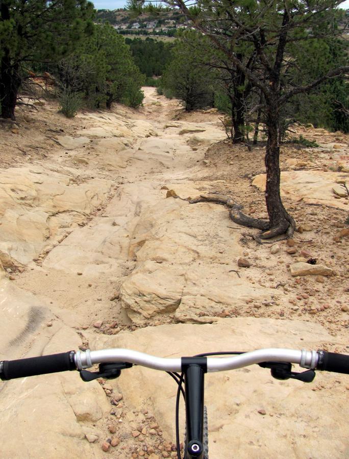 A mountain biking perspective showing a rocky downhill trail surrounded by pine trees and vegetation. The handlebars of the bike are in the foreground, and the rugged terrain extends downhill, indicating a challenging ride ahead. Ute Valley Park mountain bike trail.