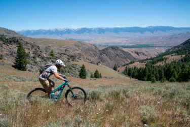 A mountain biker navigates a grassy slope in a mountainous landscape, with rolling hills and a distant mountain range under a clear blue sky. The biker wears a helmet and gloves, and is focused on traversing the terrain. Pine trees dot the landscape, enhancing the natural beauty of the scene. Lower Williams Creek Trail mountain bike trail.