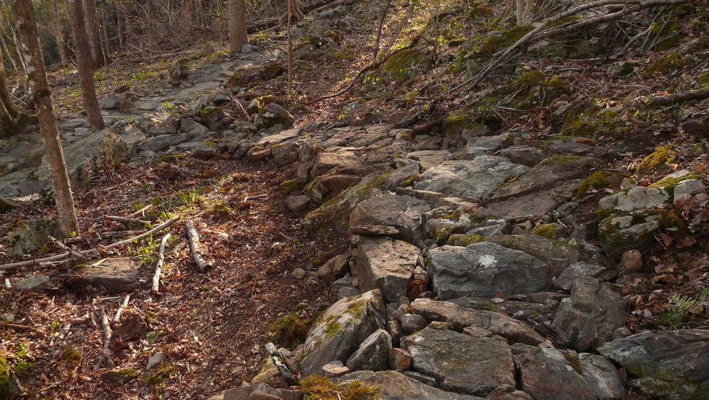 A rocky path through a forested area, featuring scattered stones, fallen branches, and patches of dry leaves. Sunlight filters through the trees, illuminating the terrain and highlighting the natural textures of the rocks and surrounding vegetation. Rocky Knob Park mountain bike trail.