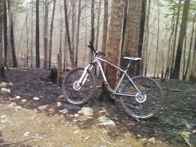 A mountain bike leaning against a tree in a forested area showing signs of wildfire damage, with charred ground and burnt trees visible in the background. The scene is hazy, suggesting smoke in the air. Berryman mountain bike trail.