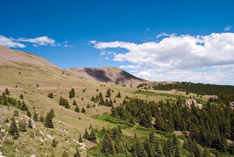 A scenic view of a mountainous landscape featuring rolling hills, lush green meadows, and clusters of evergreen trees under a bright blue sky with scattered clouds. Greenhorn Mountain Rd / GMR Downhills mountain bike trail.