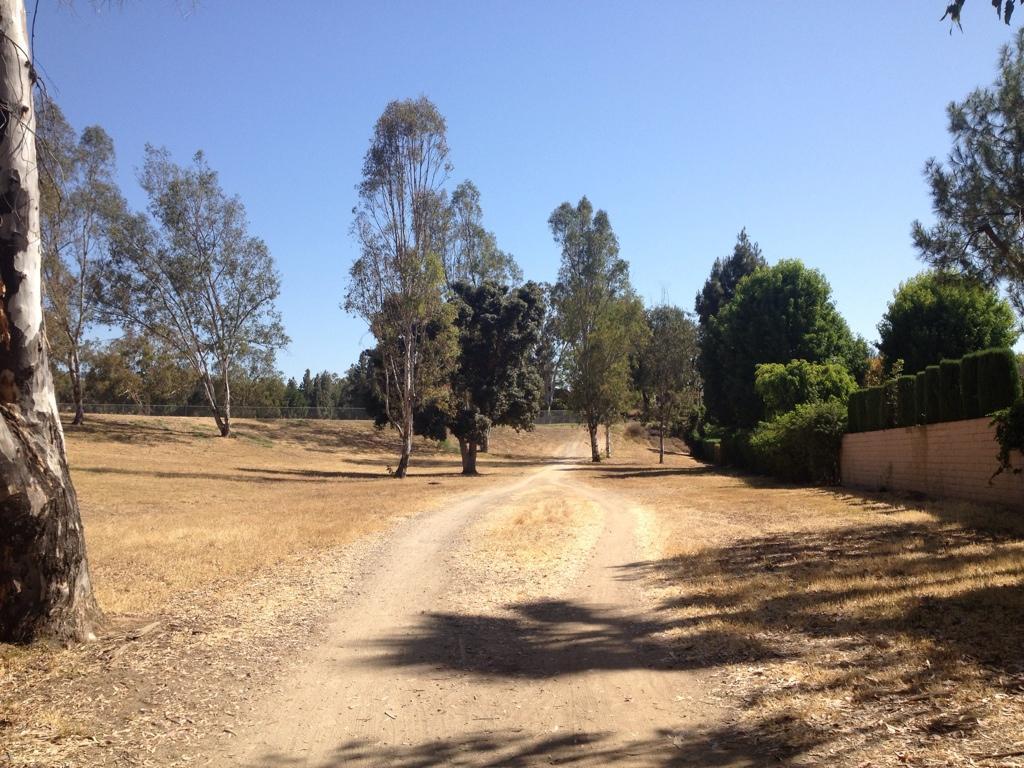 A dirt path winds between trees and dry grass under a clear blue sky, with greenery lining a wall on one side. Fullerton Loop mountain bike trail.