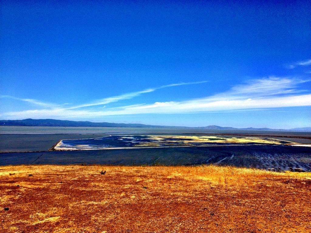 A scenic view of a wide body of water under a bright blue sky, with distant mountains on the horizon. The foreground features dry, golden grass, while the water displays varying shades of blue and green. Cloud patterns streak across the sky, adding depth to the sunny landscape. Coyote Hills Regional Park mountain bike trail.