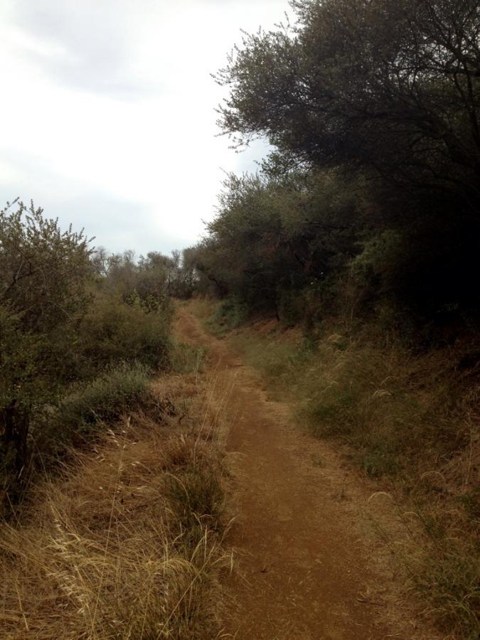 A winding dirt path through a grassy area, surrounded by shrubs and trees under a cloudy sky. Backbone Trail: Topanga State Park to Will Rogers State Park mountain bike trail.