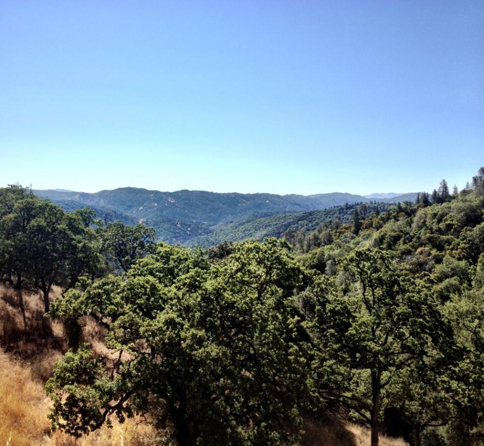 A scenic view of rolling green hills under a clear blue sky, featuring lush trees in the foreground and distant mountains in the background. Henry W. Coe State Park mountain bike trail.
