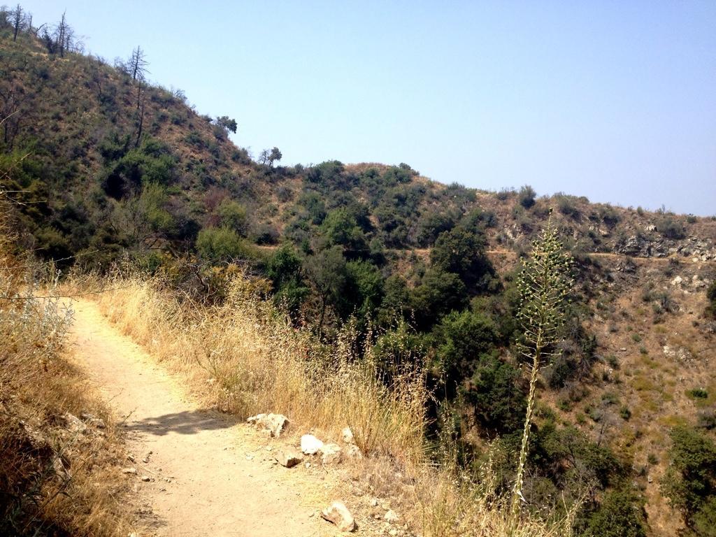 A winding dirt path along a hillside, surrounded by dry grass and sparse vegetation. The landscape features rolling hills with patches of greenery and some dead trees, under a clear blue sky. Sunset Trail mountain bike trail.