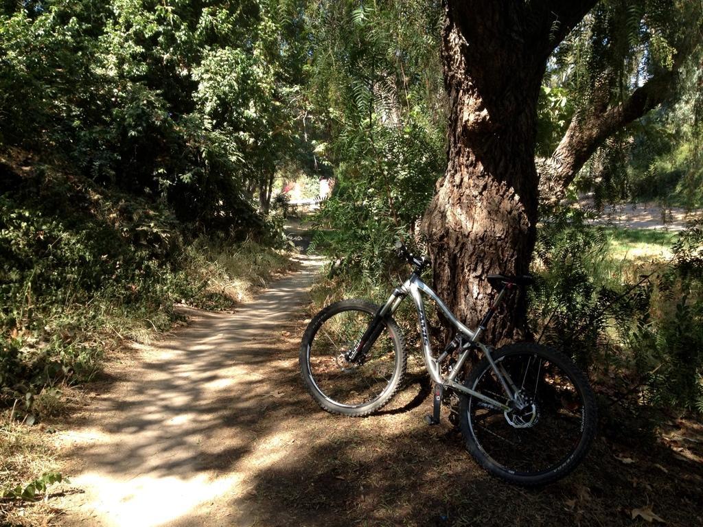 A mountain bike resting against a large tree along a dirt path, surrounded by lush green foliage and dappled sunlight filtering through the leaves. Fullerton Loop mountain bike trail.