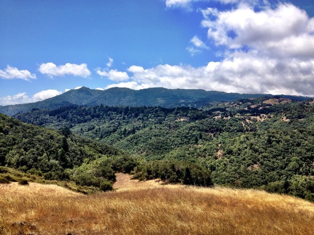 A scenic view of rolling green hills and dense forests under a blue sky with white clouds. The foreground features dry grassland, while the background showcases mountainous terrain, highlighting the natural beauty of the landscape. Camp Tamarancho mountain bike trail.
