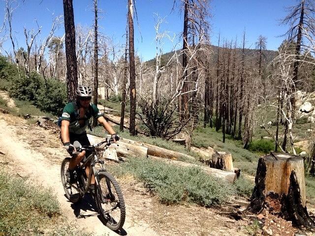A mountain biker rides along a dirt trail surrounded by a forest of tall, scorched trees and stumps. The scene is set on a sunny day with clear blue skies and distant mountains in the background. Hanna Flat mountain bike trail.