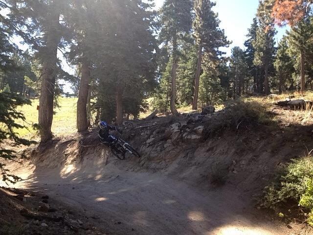 A mountain biker navigating a dirt trail during a sunny day, surrounded by tall trees and natural scenery. The cyclist is in a leaning position as they approach a turn on the path. 2n51y mountain bike trail.