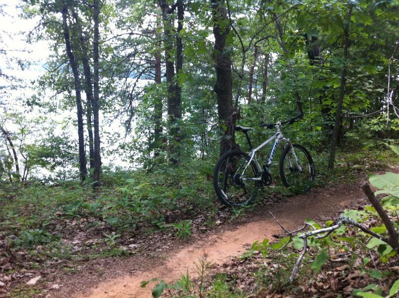 A mountain bike leaning against a tree on a dirt path surrounded by lush greenery, with a body of water visible in the background. Jack Rabbit Trails mountain bike trail.