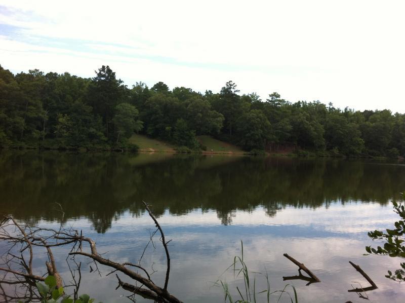 A tranquil lake surrounded by lush green trees, reflecting the sky and forest in its calm waters. In the foreground, some branches and reeds are visible along the water's edge, adding to the natural setting. Chewacla State Park mountain bike trail.