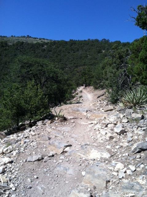 A rocky hiking trail winding through lush greenery under a clear blue sky, with steep hills in the background. Tunnel Canyon mountain bike trail.